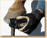 Radius Rasp PRO (RR-2) and Radius Rasp Pro Replacement Blades