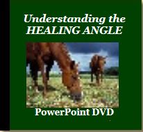 Understanding the Healing Angle PowerPoint (DVD) with Jaime Jackson