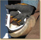 Multi-grip Contouring Bar & Sole Rasp Original (SR-1) with white handle