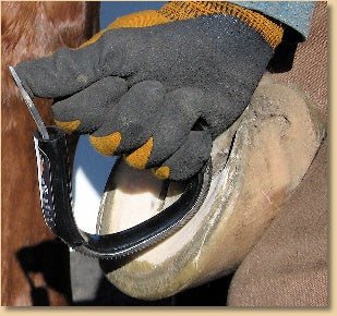 Multi-grip Contouring Bar & Sole Rasp Original (SR-1) with white handl ...